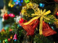 68d33667a7157d4fa293065d 65284b5cb29ee8599d31d45a the christmas tree 1081321 19201