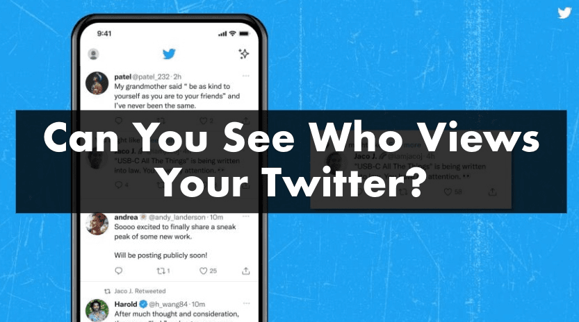 Can I see who views my Twitter (X) Account