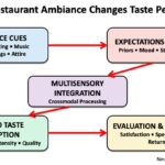 Decifrando os Serviços a Bordo: Como os Códigos de Vestimenta e a Ciência da Experiência Transformam Cruzeiros em Aventuras Inesquecíveis