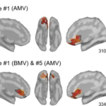 Descubra Como Seu Cérebro Filtra Preços: O Detector de Besteiras que Pode Transformar Suas Compras